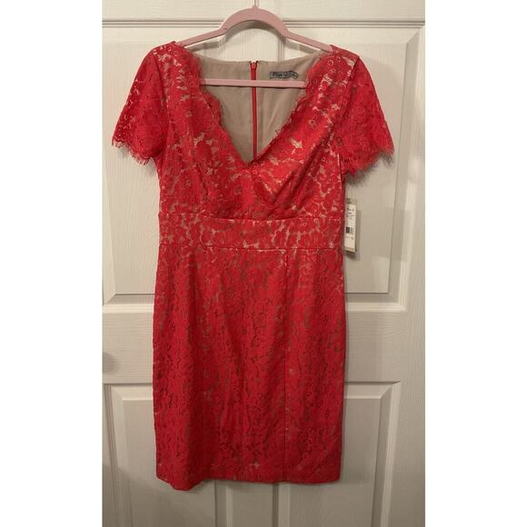 NWT Eliza J Coral Lace Cap Sleeve Surplice Neck Sheath Dress, sz 10 - Picture 3 of 8
